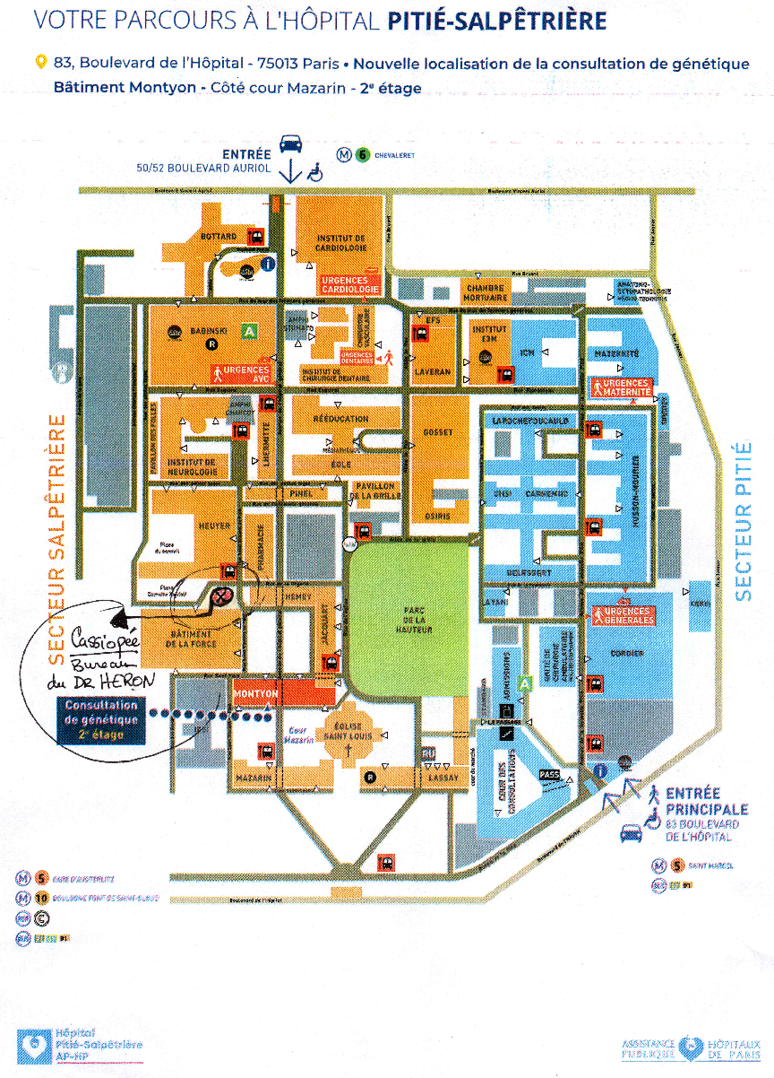 S1.J7-11 Adaptation?